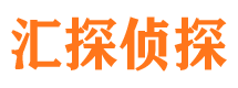 达坂城市侦探公司